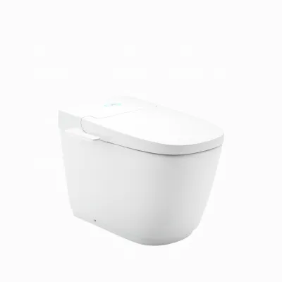 Bồn Cầu Thông Minh INAX AC-816VN SARAS LIGHT-E