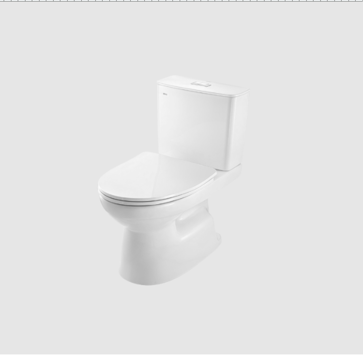 Bồn cầu 2 khối INAX AC-514VWN
