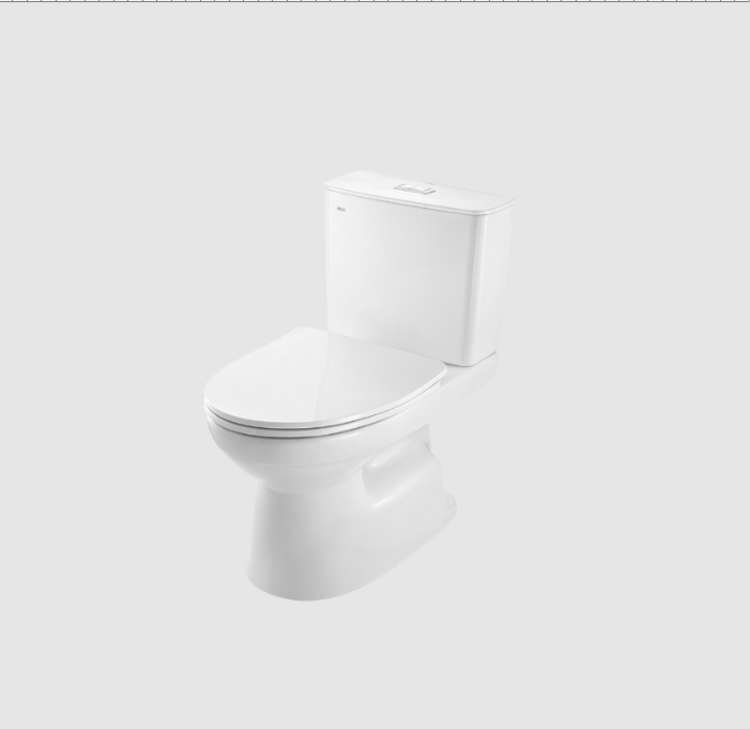 Bồn cầu 2 khối INAX C-514VWN