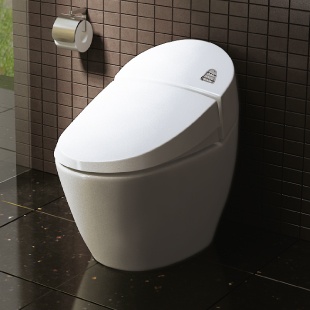 Hai loại bàn cầu cao cấp của inax